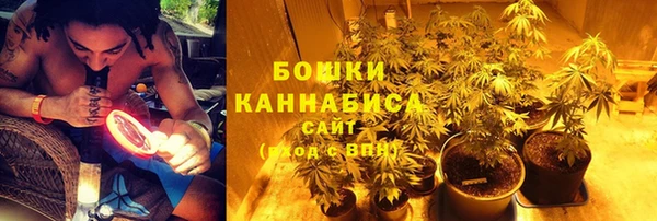 крисы Беломорск