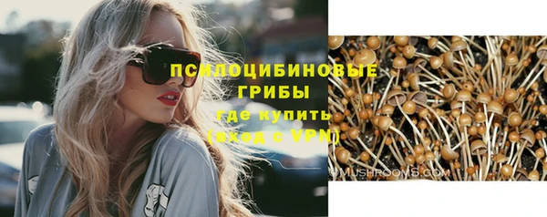 СК Белокуриха