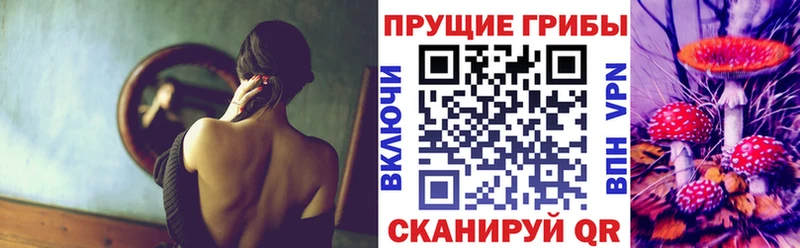 Псилоцибиновые грибы Psilocybine cubensis  продажа наркотиков  Невель 